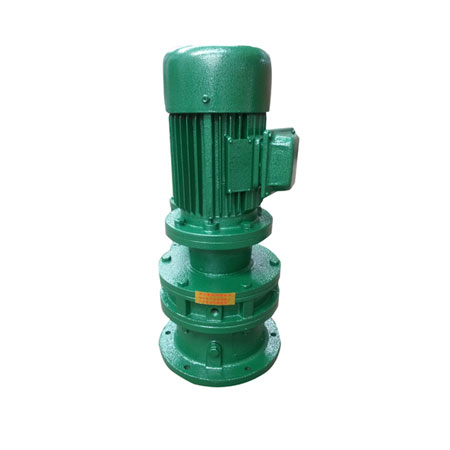 BLY系列立式專業電機直聯擺線針輪減速機